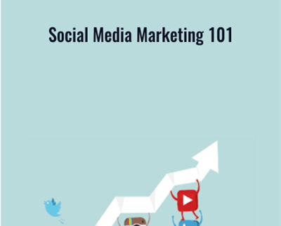 Social Media Marketing 101 - Vision Paradox