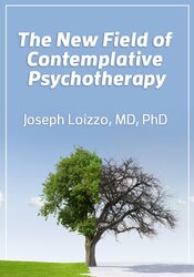 The New Field of Contemplative Psychotherapy - Joseph Loizzo