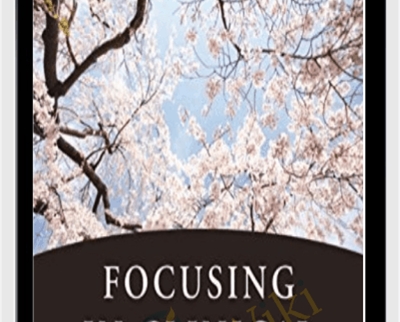 Focusing in Clinical Practice. The Essence of Change - Ann Weiser Cornell