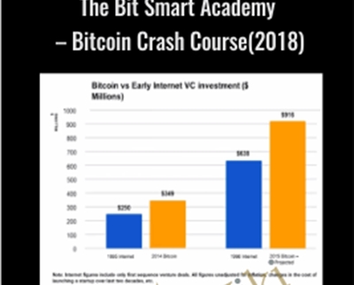 The Bit Smart Academy- Bitcoin Crash Course(2018) - Coinerpals.com