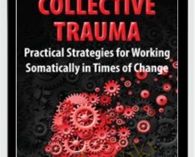 Collective Trauma: Practical Strategies for Working Somatically in Times of Change - Manuela Mischke-Reeds