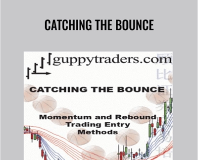 Catching the Bounce - Daryl Guppy