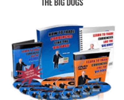 How to Trade Currencies Like the Big Dogs - Forexmentor