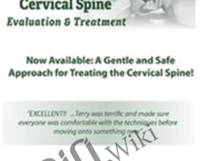 Muscle Energy Techniques for the Cervical Spine: Evaluation and Treatment - Terry Bemis