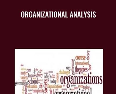 Organizational Analysis - Daniel McFarland