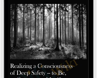 Realizing a Consciousness of Deep Safety-to Be