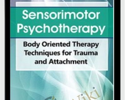 Sensorimotor Psychotherapy: Body Oriented Therapy Techniques for Trauma and Attachment - Pat Ogden