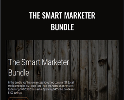 The Smart Marketer Bundle - Shaina Weisinger