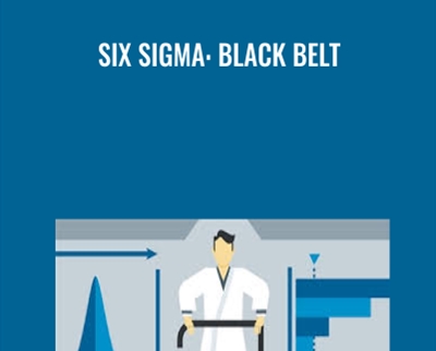 Six Sigma: Black Belt - Richard Chua