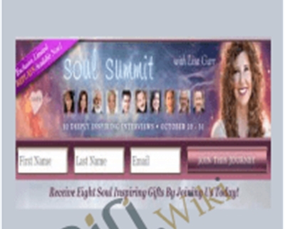 Soul Summit Videos 2014 - Lisa Garr