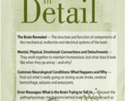 The Brain in Detail - Sean G. Smith