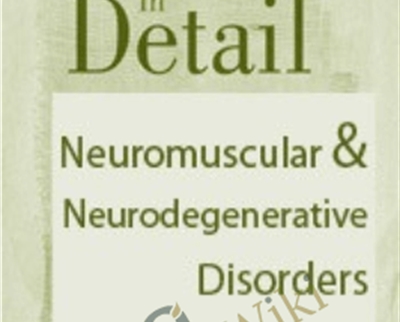 The Brain in Detail: Neuromuscular and Neurodegenerative Disorders - Bonita Gordon and Sean G. Smith