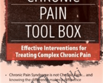 The Chronic Pain Tool Box: Effective Interventions for Treating Complex Chronic Pain - Bruce Singer