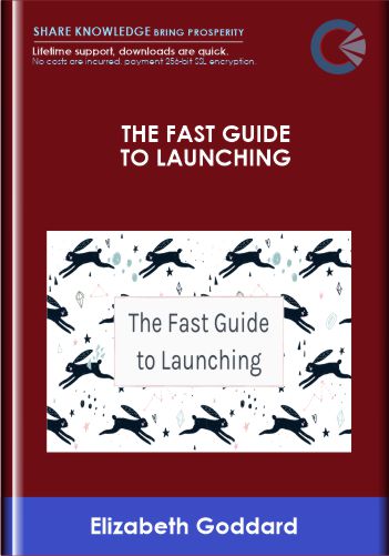 The Fast Guide to Launching - Elizabeth Goddard