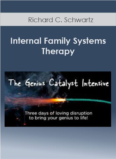 The Genius Catalyst Program - Michael Neill