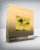 Sonia Choquette – Elements Meditations (Music Only)