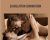 Ejaculation Domination – Alex Allman