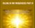 Filling in the Frequencies Part VI – Da Ben ft Orin (Sanaya Roman and Duane Packer)