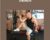 Strength – Joe Defranco