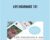 Life Insurance 101 – Ellie Talks Money