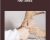 Foot Series – Lynn Waldrop