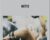 MET10 – Metabolic Effect