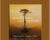 Mindfulness and Hypnosis – Michael Yapko