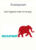 Redelephantu – Red Elephant Sales Bootcamp