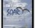 The Freedom to Soar – Richard Flint