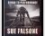 Bridging the gap from rehab to performance – Sue Falsone