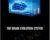 The Brain Evolution System – Inspire